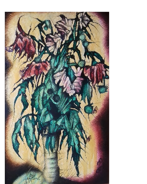 Rafał Jarosz - Trens Georginia