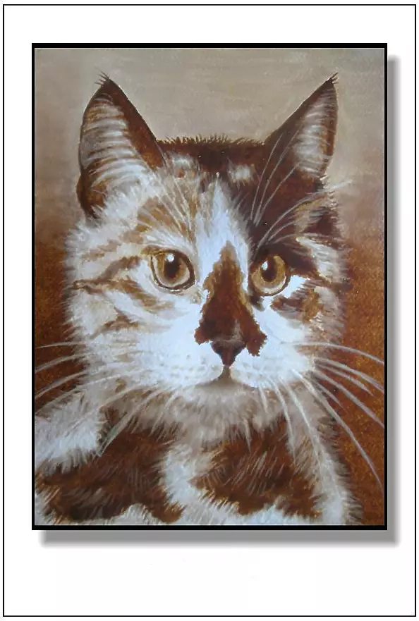 Jolanta Dusza - Tricolorka