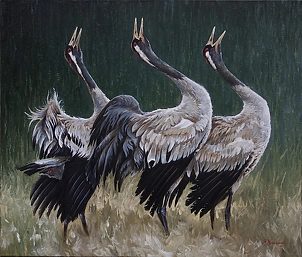 Michał Nowakowski - Trio