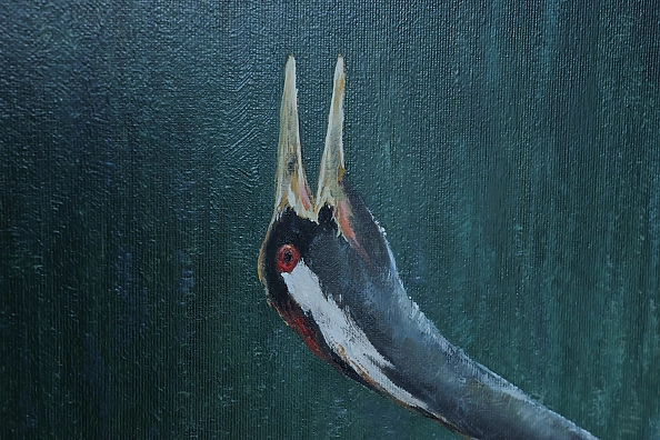 Michał Nowakowski - Trio