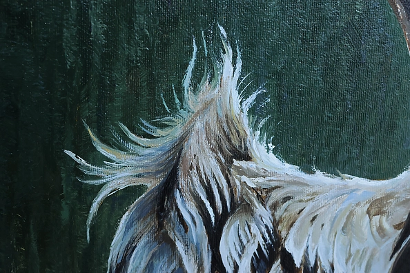 Michał Nowakowski - Trio