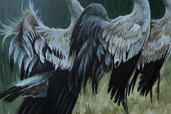 Michał Nowakowski - Trio