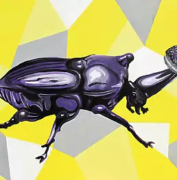 Zuzanna Zu Jankowska - winner