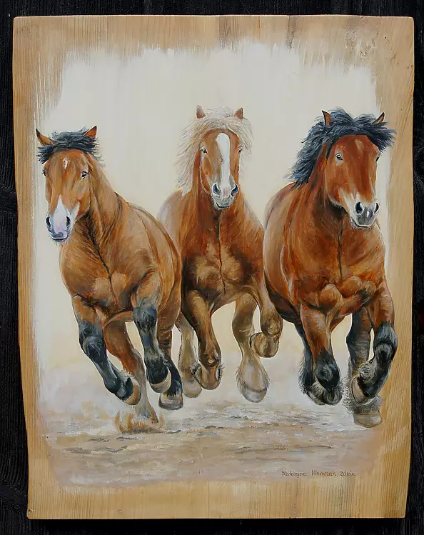 Katarzyna Niemczak - Troika