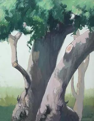 Salvatore Fratantonio - trunks