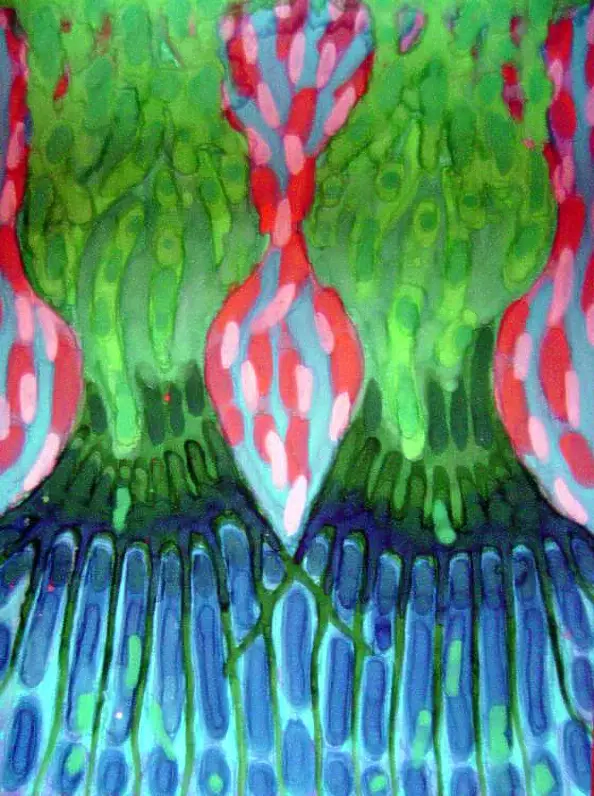 Wojtek Kowalski - We're staying together