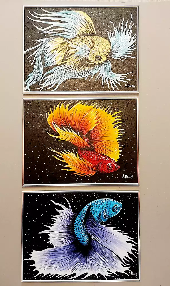 Agnieszka Mantaj - Triptych Fighters