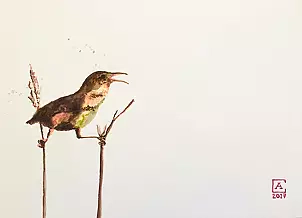 Artur Cieślar - reed