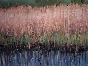 Andrzej Siewierski - cane