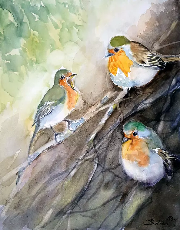 Zdzisław Rutkowski - Trois robins