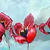Justyna Szałamacha - three tulips