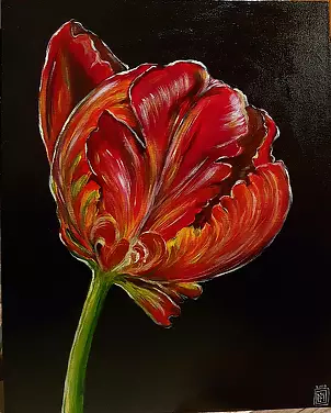 Magdalena Iwanowska - Tulip 1
