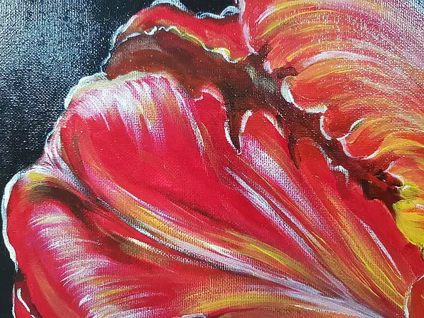 Magdalena Iwanowska - Tulip 1