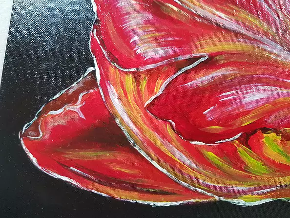 Magdalena Iwanowska - Tulip 1