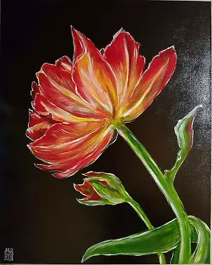 Magdalena Iwanowska - Tulip 2