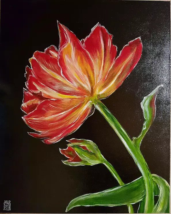 Magdalena Iwanowska - Tulipan 2