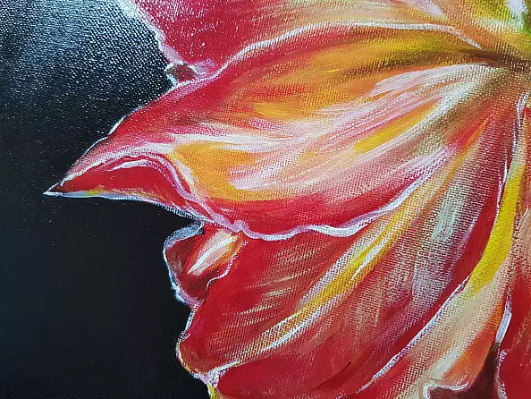Magdalena Iwanowska - Tulipan 2