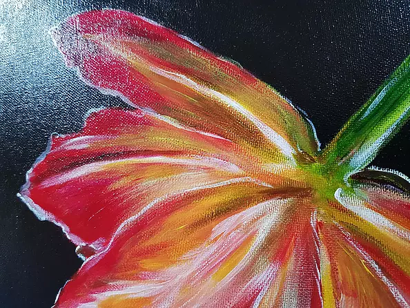 Magdalena Iwanowska - Tulipan 2