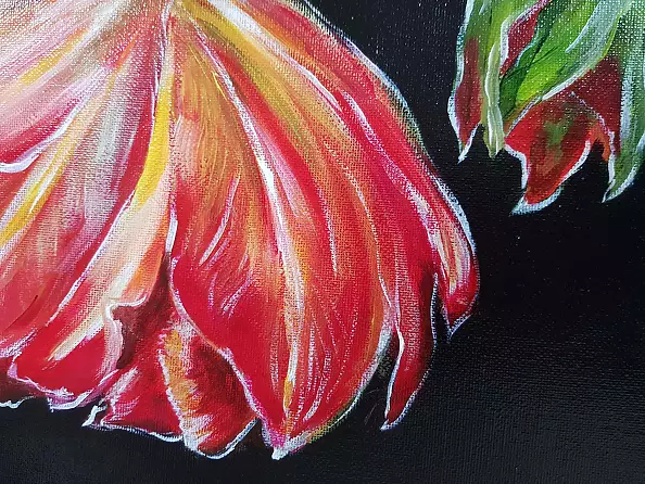 Magdalena Iwanowska - Tulipan 2
