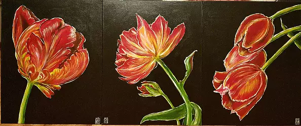 Magdalena Iwanowska - Tulipan 2