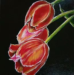 Magdalena Iwanowska - Tulip 3