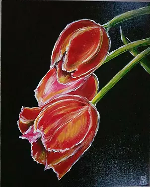 Magdalena Iwanowska - Tulip 3