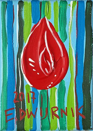   -  Tulipan (czerwony), rok 2017