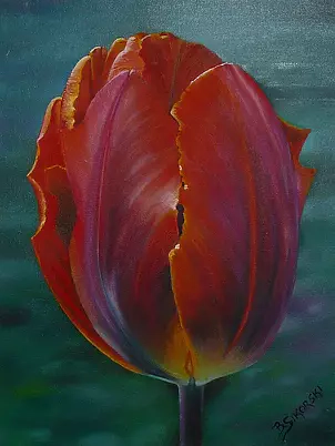 Barbara Sikorski - Tulip