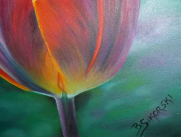 Barbara Sikorski - Tulipan