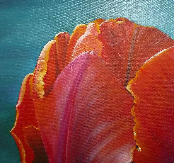 Barbara Sikorski - Tulipan