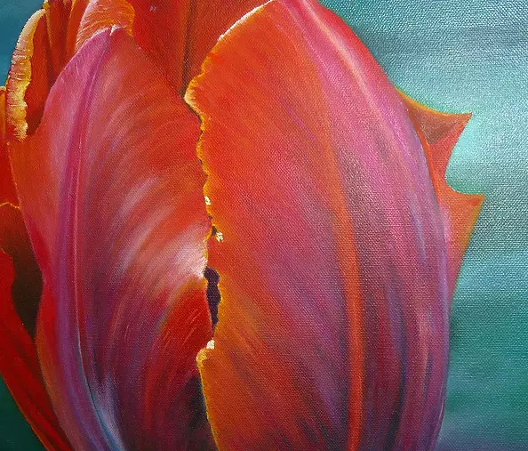 Barbara Sikorski - Tulipan