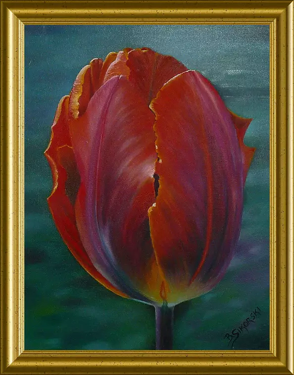 Barbara Sikorski - Tulipan