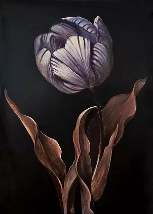 Maria Kuzak - Tulipan