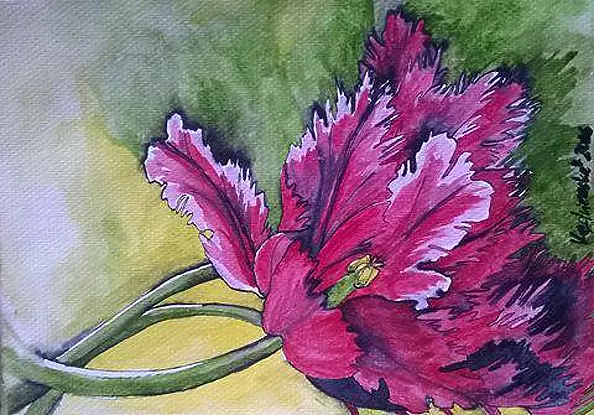 Dorota Kędzierska - tulips 1