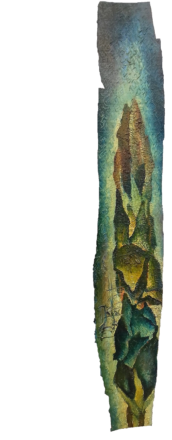 Rafał Jarosz - Duchess tulips