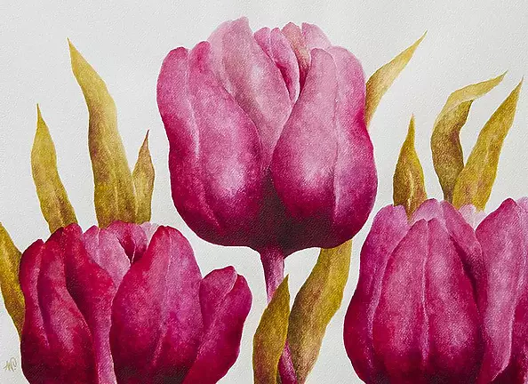 Anna Wojciechowska Paprocka - tulips VII