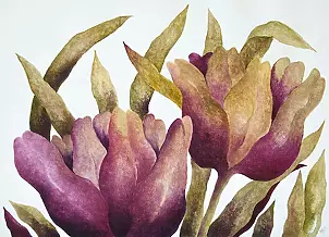  - tulips VI