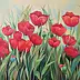 Agata Mazuś - Tulipany