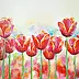 Anna Pawlak - "Tulipes"