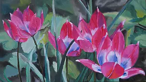 Ewa Słodzińska - Tulipany botaniczne