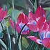 Ewa Słodzińska - Tulipany botaniczne
