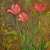 Dariusz Marzęta - tulips