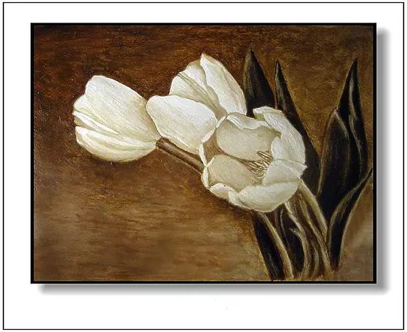 Jolanta Dusza - tulips