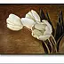 Jolanta Dusza - tulips