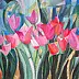 Katarzyna Madej - tulips