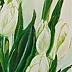 LUCYNA Wiech - Tulips