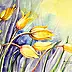 Magdalena Bronakowska - tulips