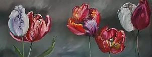   - Tulips on gray
