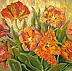Maria Szymańska - parrot tulips