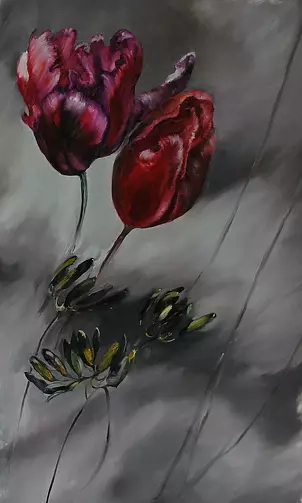   - Tulips during a storm